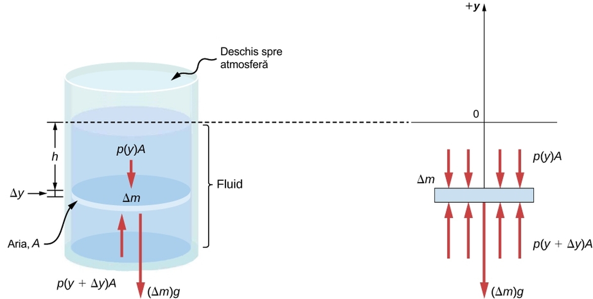 Forțe asupra unui element de masă în interiorul unui fluid