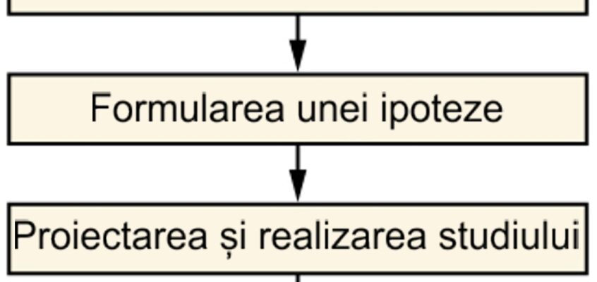 Sociologie - Ciclul de cercetare