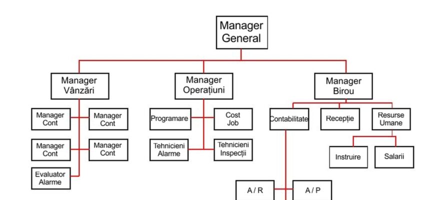 Diagrama organizațională bazată pe funcții