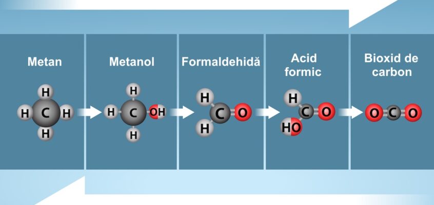 Etapele de oxidare/reducere (resox)