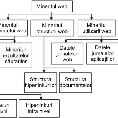 Mineritul web (Web mining) - Taxonomia mineritului web