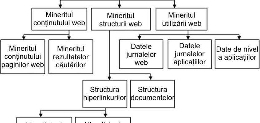 Mineritul web (Web mining) - Taxonomia mineritului web