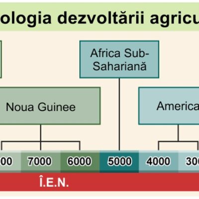 Agricultura - Cronologie