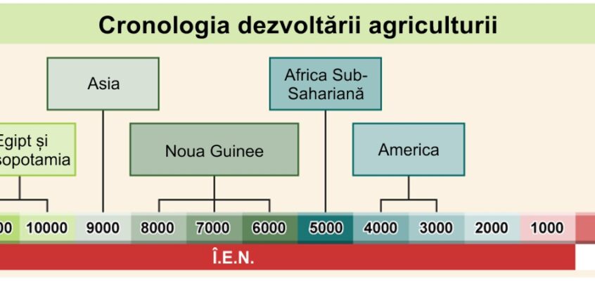 Agricultura - Cronologie