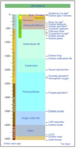 Cronologia vieții