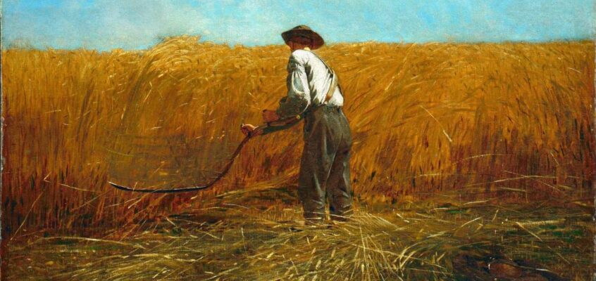 Veteran într-un câmp nou. Artist: Winslow Homer
