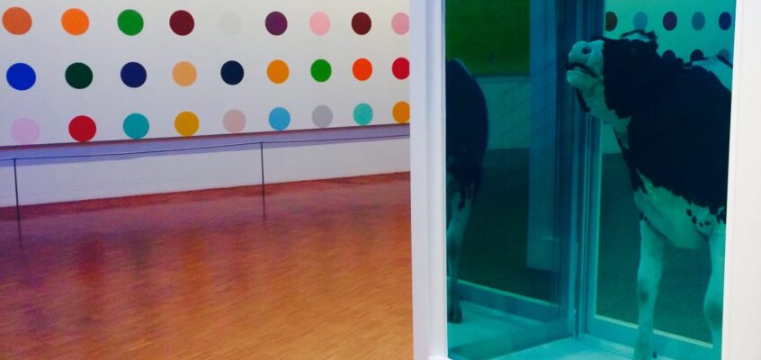 Damien Hirst Room la ARKEN Gallery, Ishøj, Danemarca.