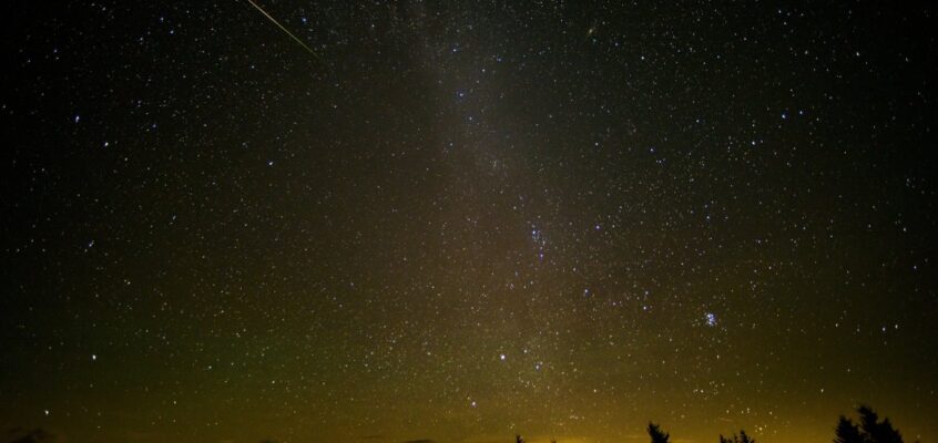 Perseids