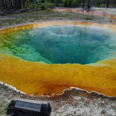 Procariote, bazinul Morning Glory, un izvor termal din Parcul Național Yellowstone