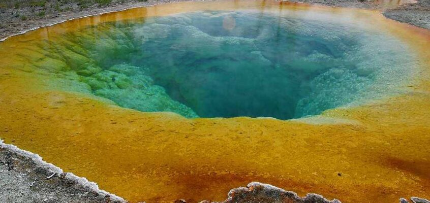 Procariote, bazinul Morning Glory, un izvor termal din Parcul Național Yellowstone