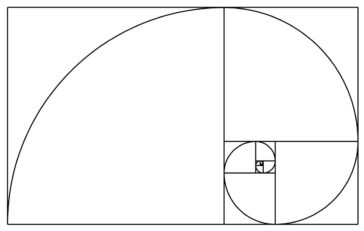 Spirala Fibonacci: Raportul de aur.