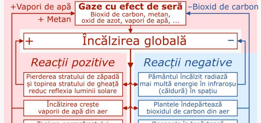 Reacții ale schimbărilor climatice