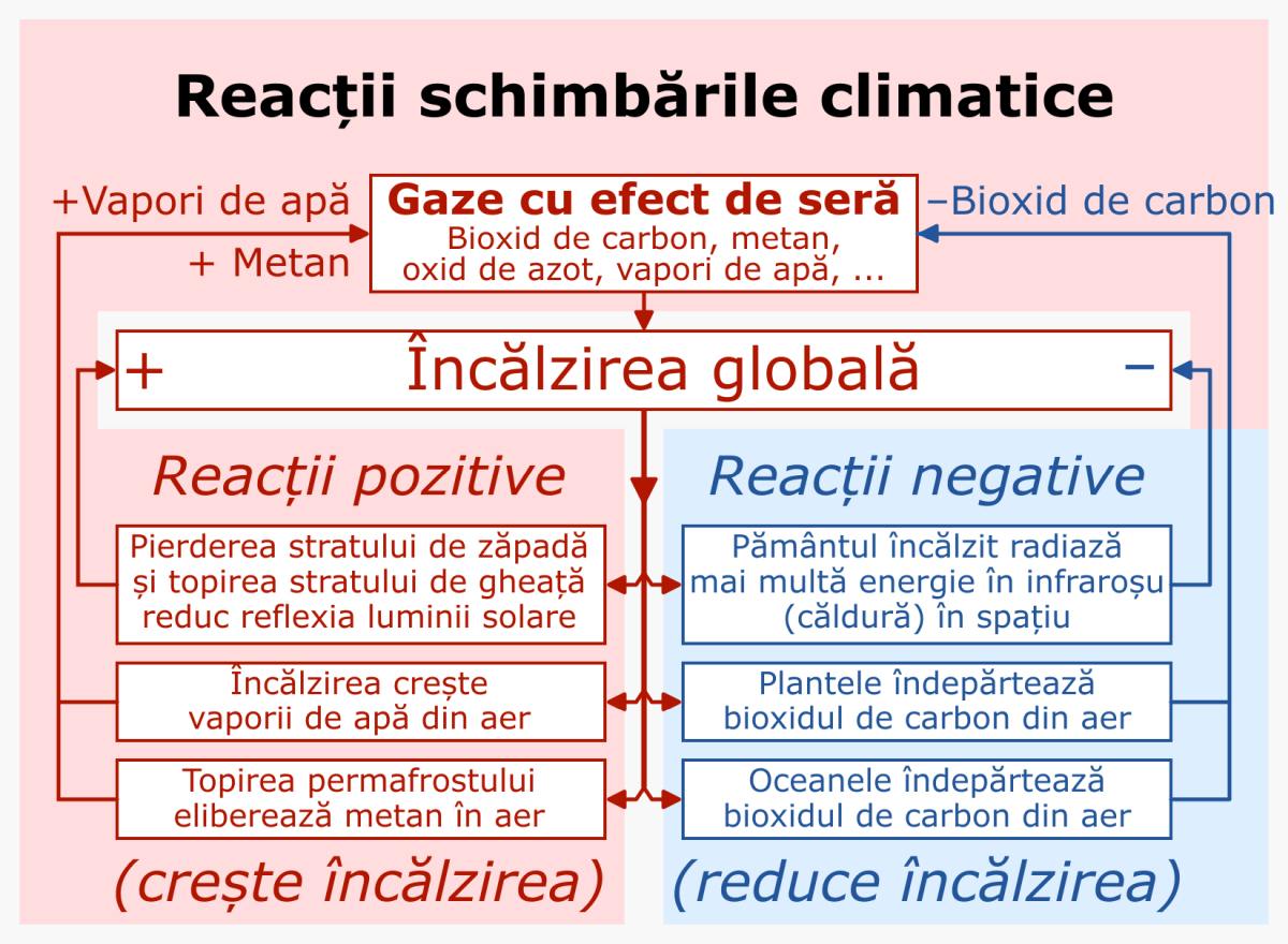 Reacții ale schimbărilor climatice