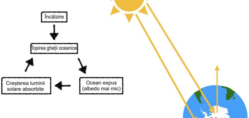 Diagrama retroacțiunii albedoului gheții
