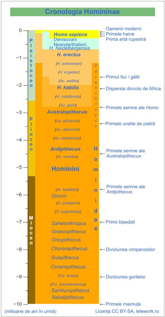 Cronologia Homininae