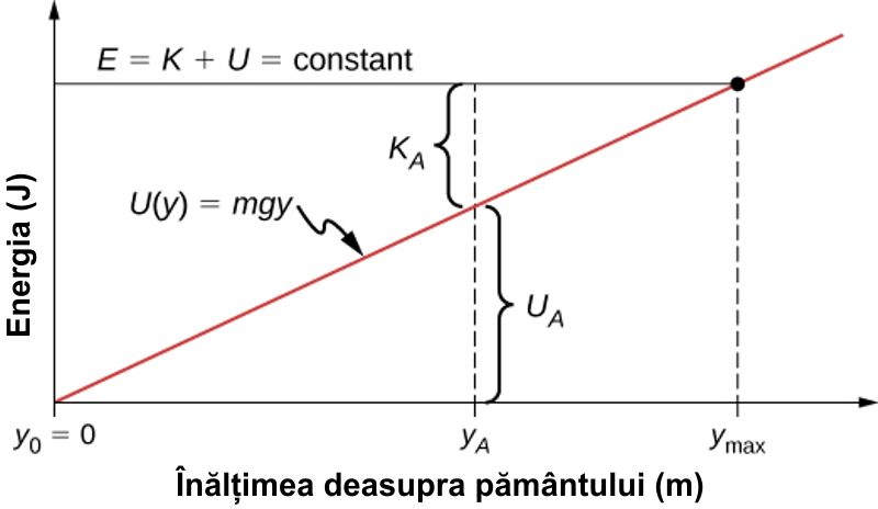 Graficul energiei potențiale pentru un obiect în cădere liberă verticală