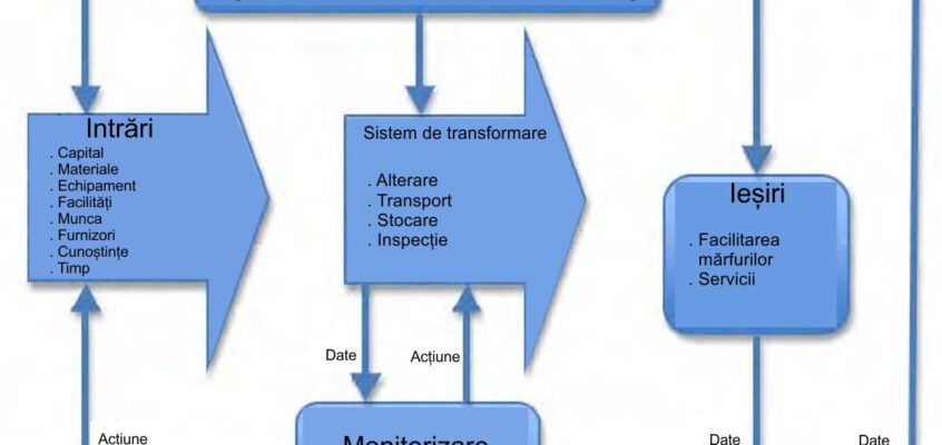 Exemplu de proces tipic de transformare în managementul operațiilor