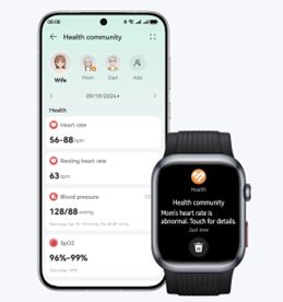 HUAWEI WATCH D2