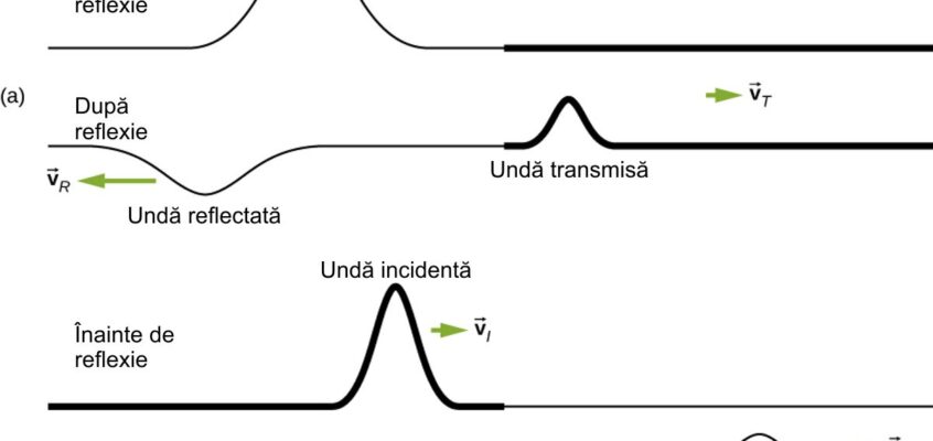 Reflexia și transmisia undelor
