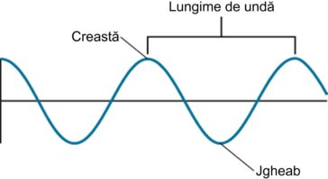 Unda