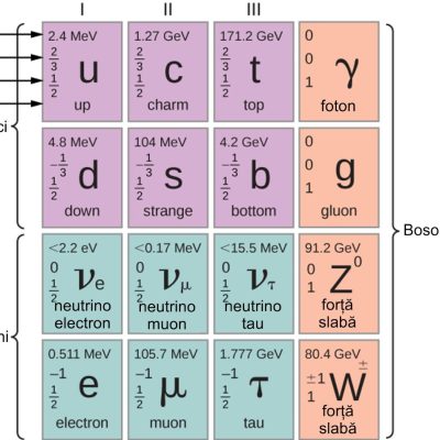 Modelul Standard al particulelor elementare