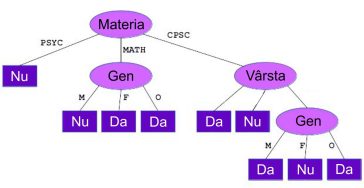 Un arbore decizional