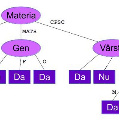 Un arbore decizional