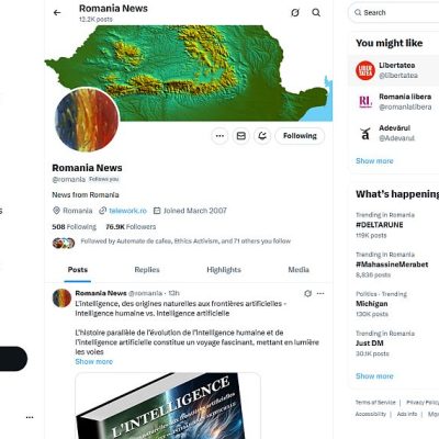 Twitter (actualul X) - Romania