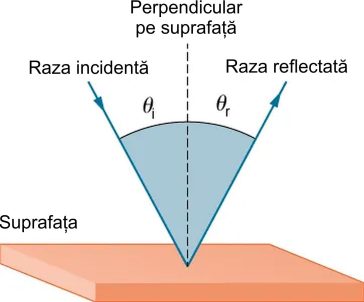 Reflexia
