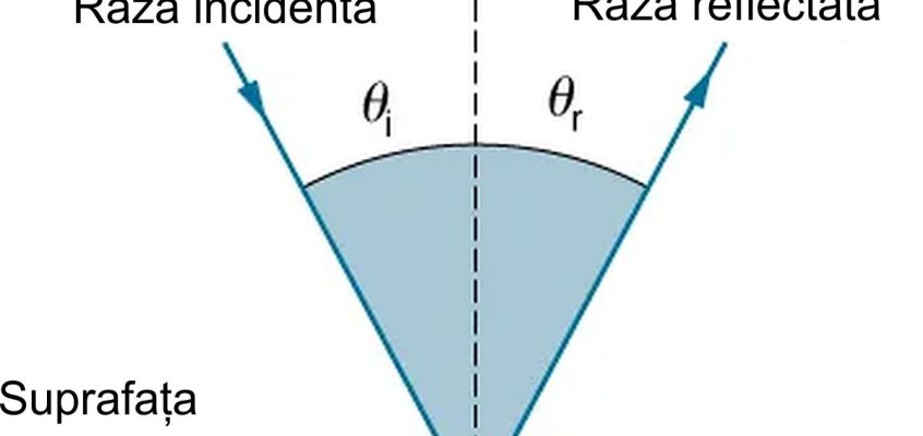 Reflexia