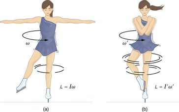 O patinatoare