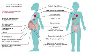 Effets des PFAS (substances per- et polyfluoroalkylées) sur la santé humaine.