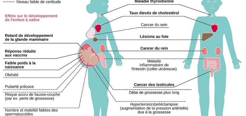 Effets des PFAS (substances per- et polyfluoroalkylées) sur la santé humaine.