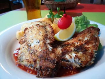 Calcan (Turbot)