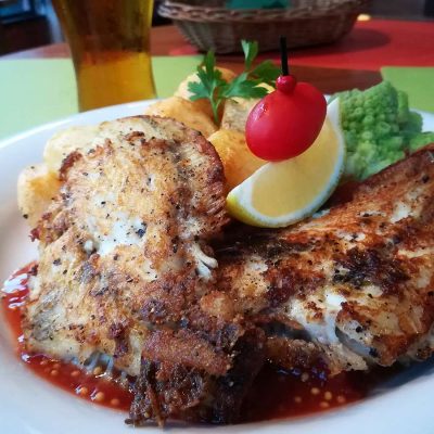 Calcan (Turbot)