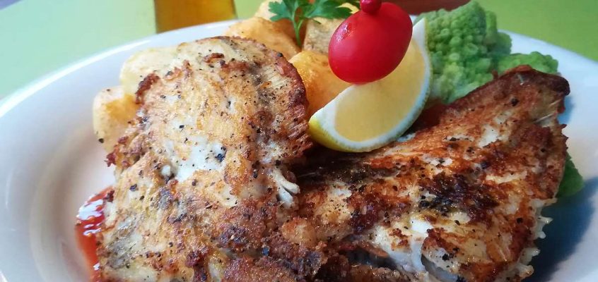 Calcan (Turbot)