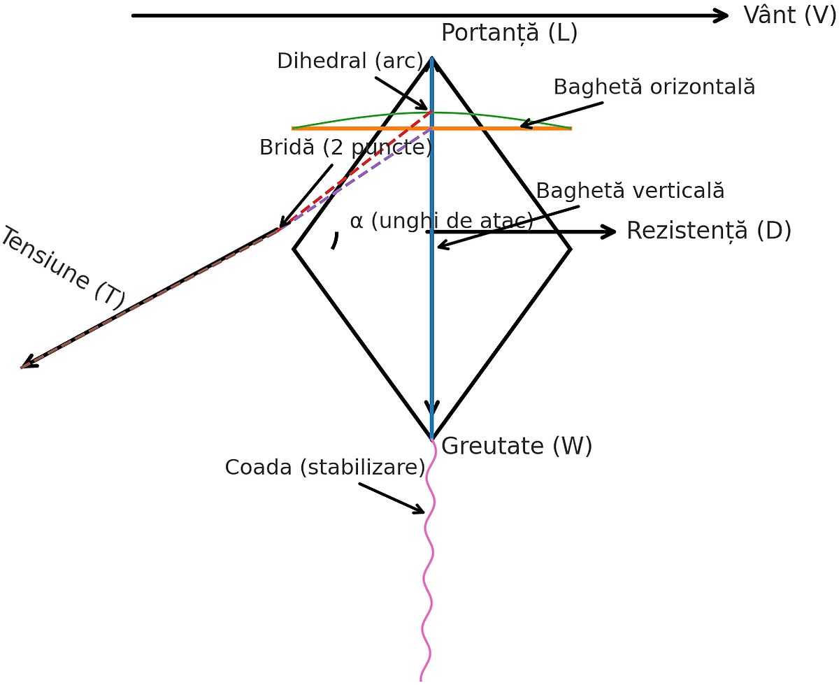Zmeu – schemele forțelor și elementelor cheie (L, D, W, T, α)