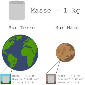 Masse et poids