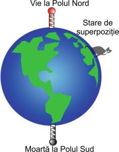 O caricaturizare a sferei Bloch reprezentată ca Pământul și starea pisicii lui Schrodinger reprezentată ca o locație de pe Pământ