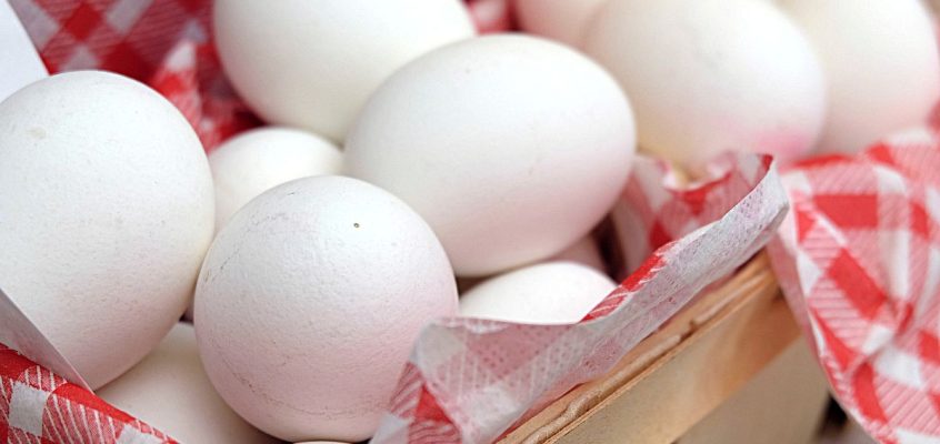 Eggs