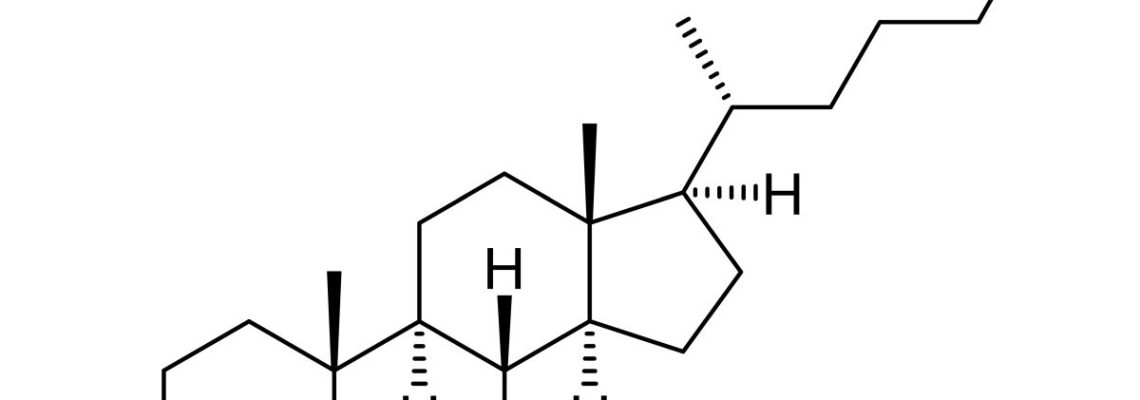 Cholesterol