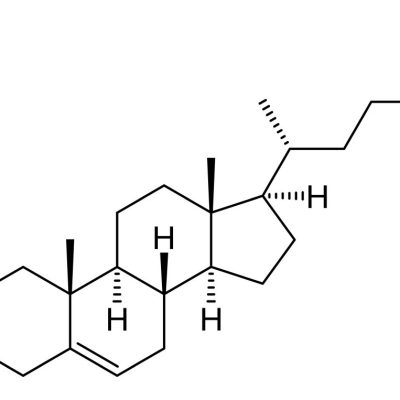 Cholesterol