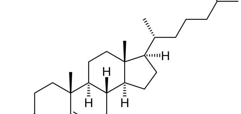 Cholesterol