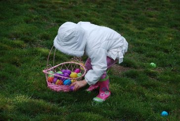 Egg hunt