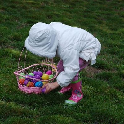 Egg hunt