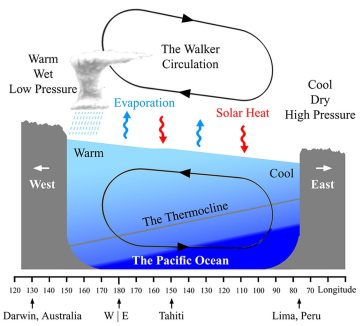 Le Pacifique Ouest est généralement plus chaud que le Pacifique Est. Cette eau plus chaude dans le Pacifique Ouest entraîne une nébulosité plus importante, des précipitations plus abondantes et une pression atmosphérique plus faible. L'accumulation d'eaux chaudes vers l'ouest conduit également à la formation d'une couche d'eau océanique chaude plus épaisse, ce qui abaisse la profondeur de la thermocline
