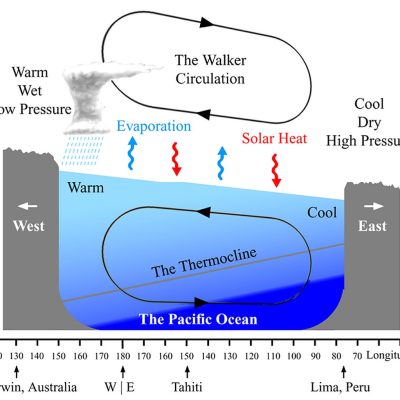 Le Pacifique Ouest est généralement plus chaud que le Pacifique Est. Cette eau plus chaude dans le Pacifique Ouest entraîne une nébulosité plus importante, des précipitations plus abondantes et une pression atmosphérique plus faible. L'accumulation d'eaux chaudes vers l'ouest conduit également à la formation d'une couche d'eau océanique chaude plus épaisse, ce qui abaisse la profondeur de la thermocline